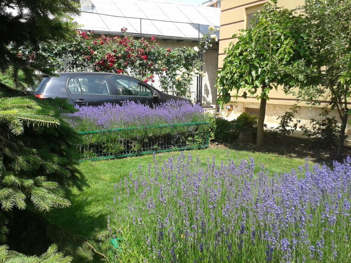 Casa Edwin Bed & Breakfast Constanta Luaran gambar
